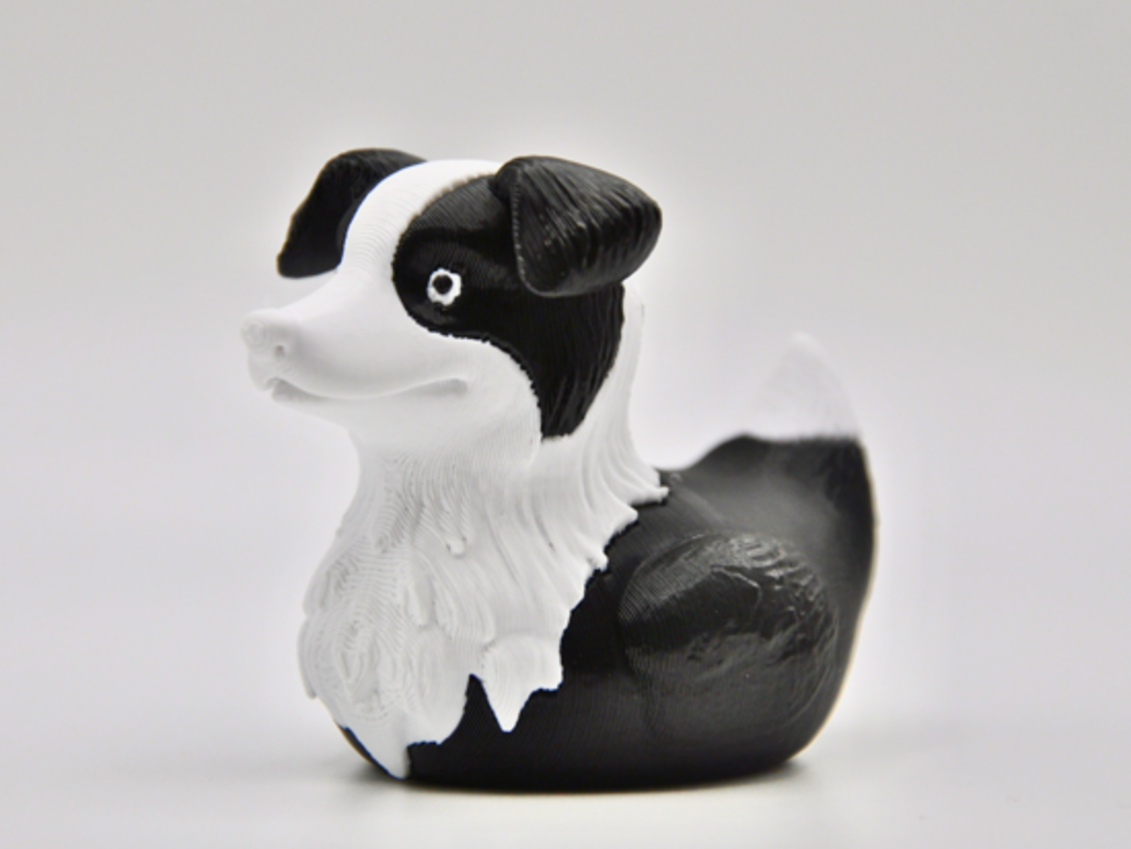MiniDucks Animales - Border Collie - miniducks: border-collie