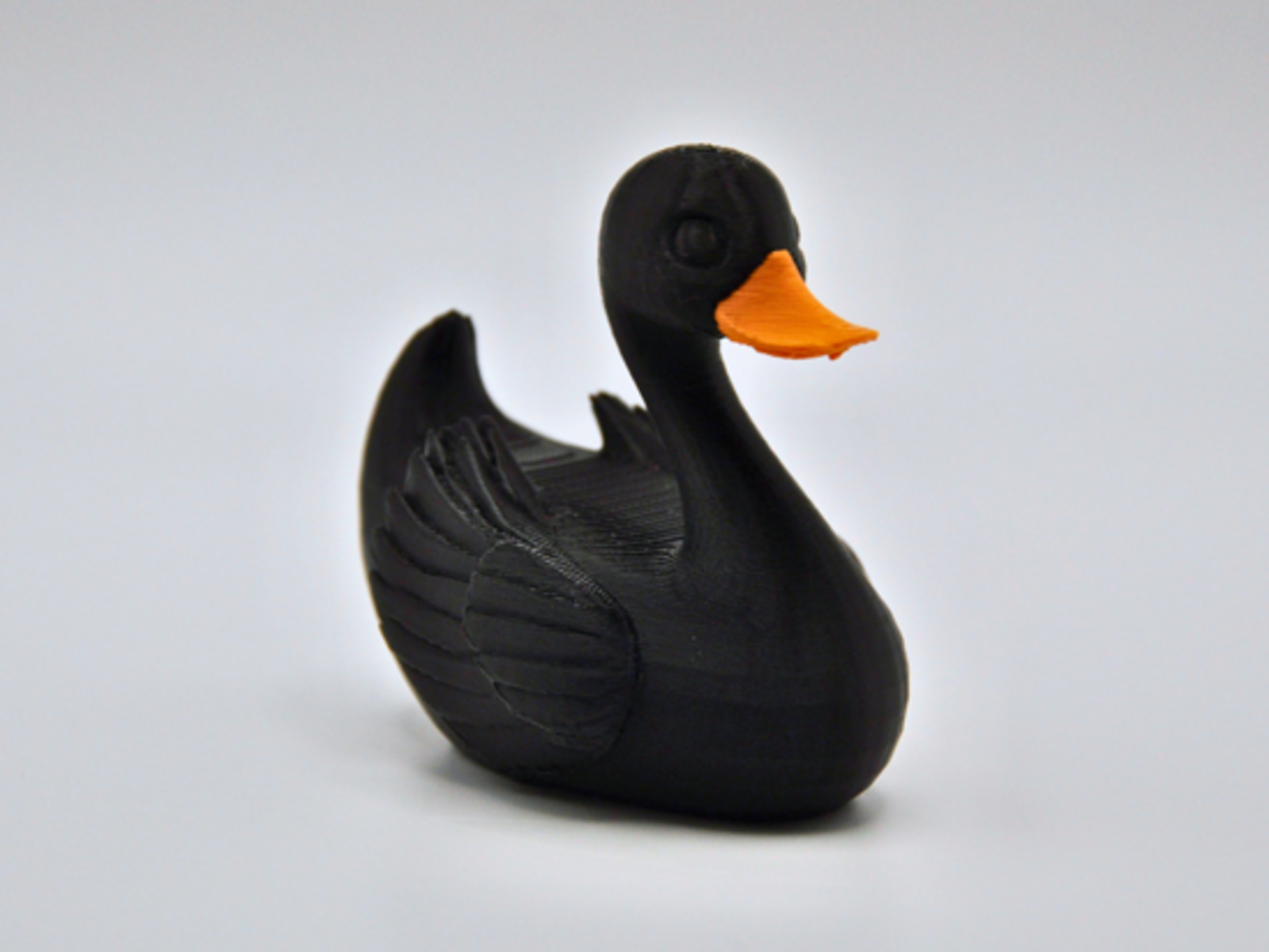 MiniDucks Animales - Black Swan - miniducks: black-swan
